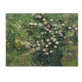 Trademark Fine Art Van Gogh 'Roses' Canvas Art, 24x32 AA00912-C2432GG